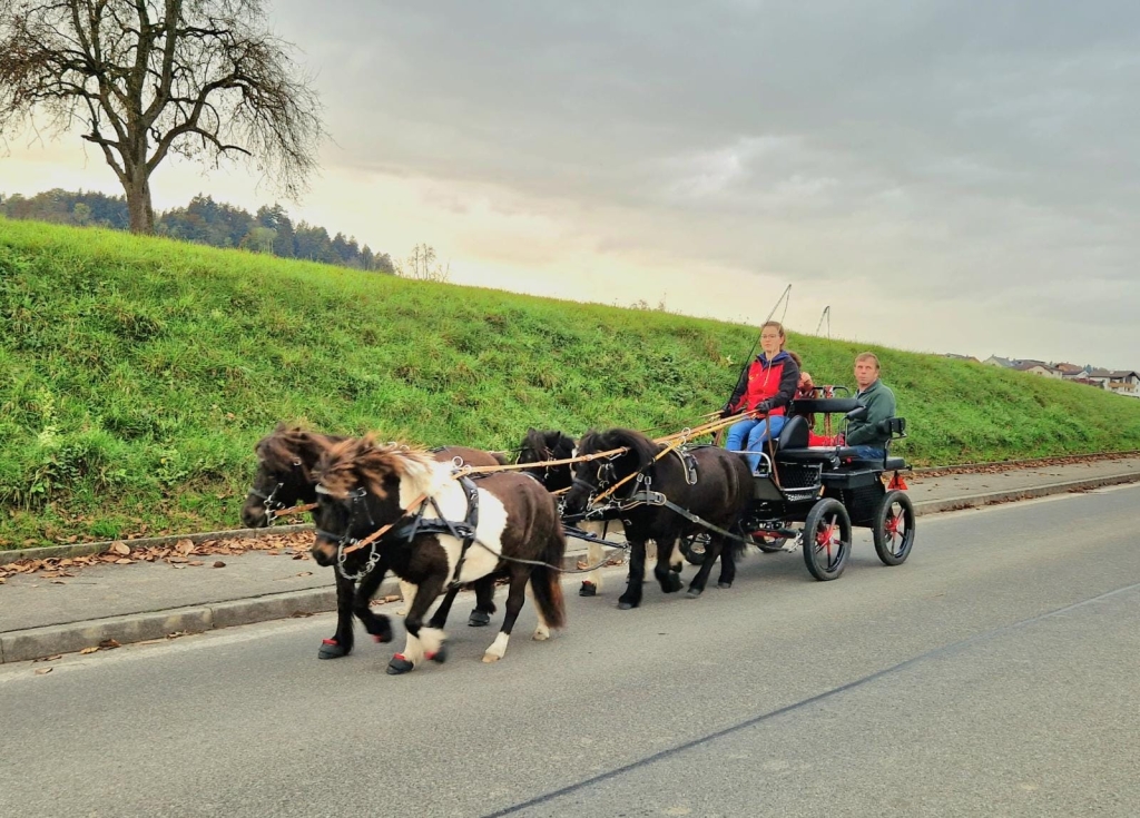 Unser Hobby, die Ponys