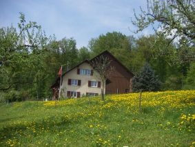 Grüthof