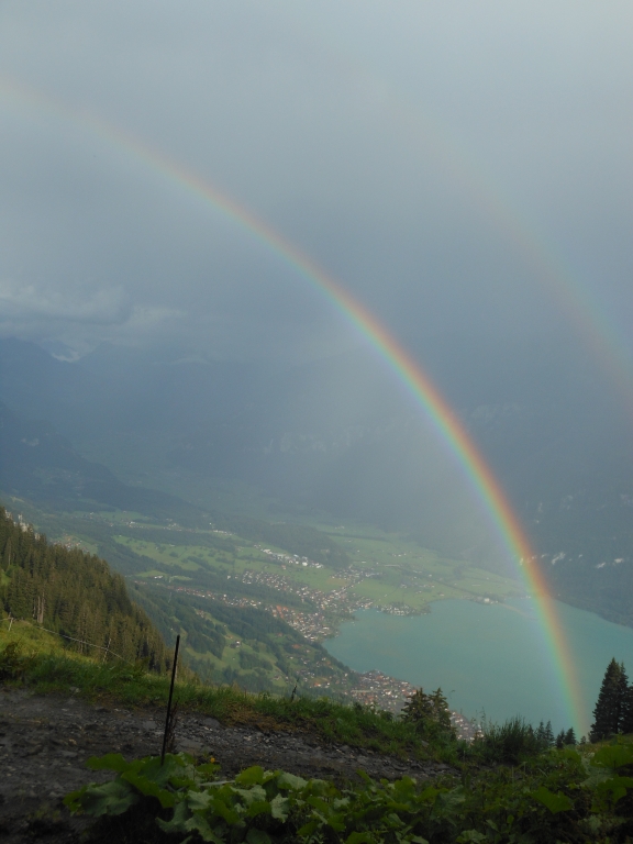 Nach dem Regen