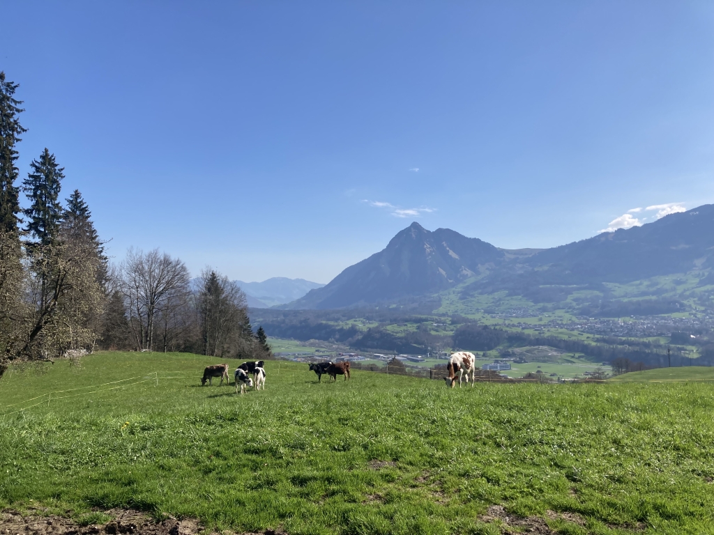 Aussicht