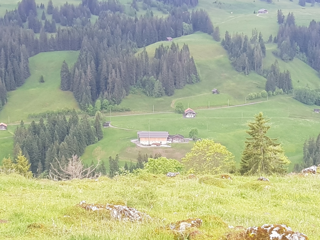 unser Alpbetrieb