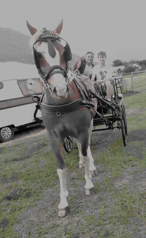 Carrozza
