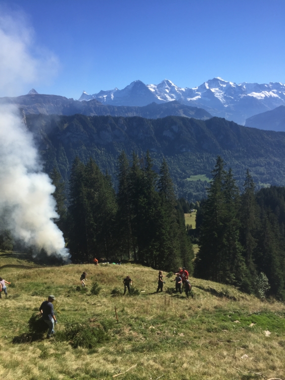 Arbeiten auf der Alp