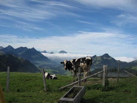 vue du chalet