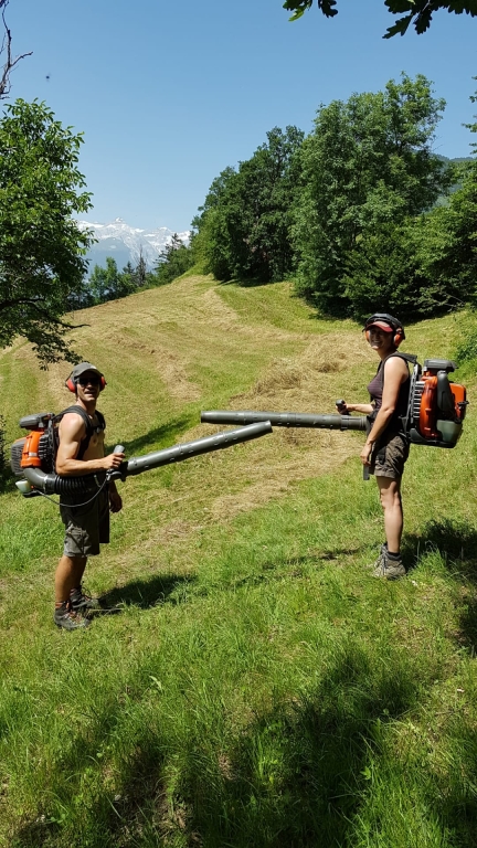 Abkühlung beim Heuen