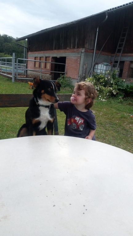 mit Hofhund