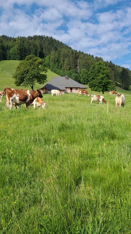 Alpage