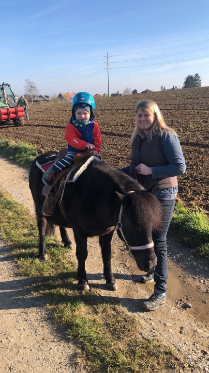 2 Pferde, Shetlandpony und Holländische Warmblutstute, Hobby von Andrea