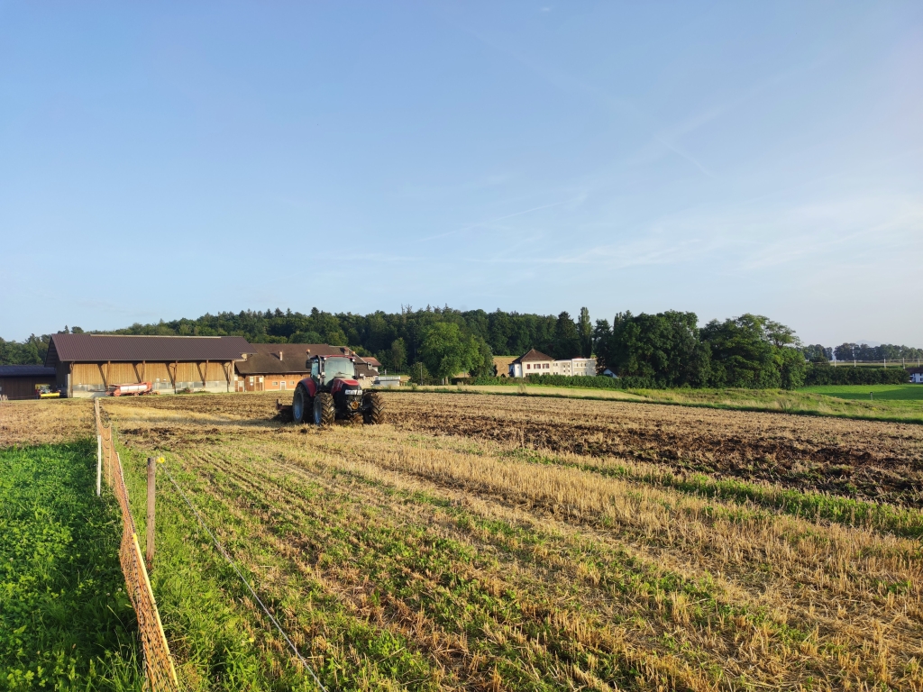 16ha Ackerfläche, Saatkartoffeln, Getreide, Mais, Erbsen, Linsen