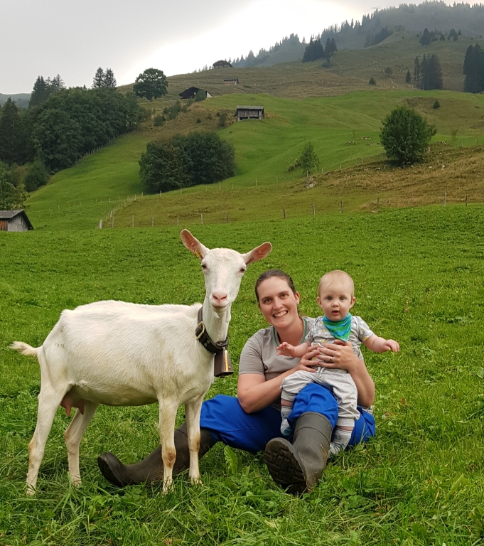 Ziegen