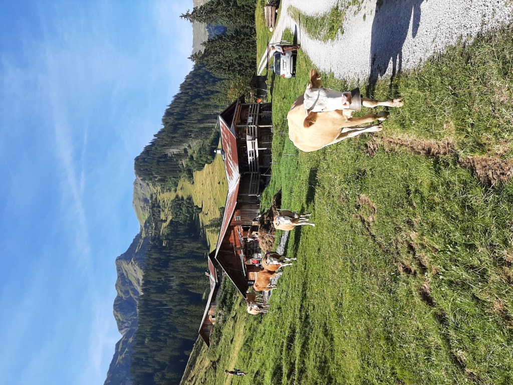 Alphütte