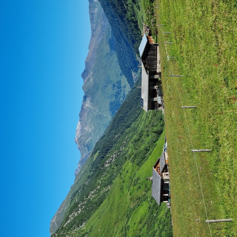 Alp