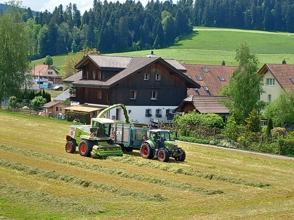 Grünfutterernte