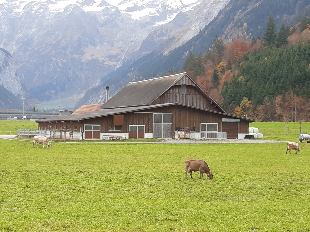 Klosterbetrieb Obere Erlen