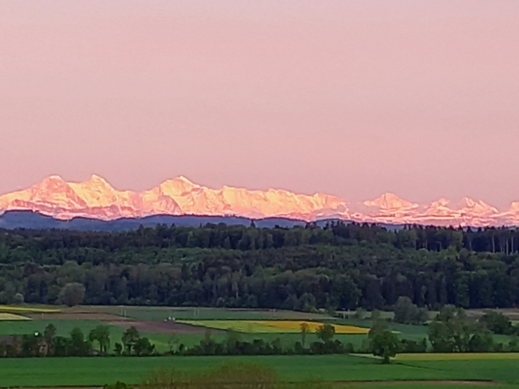 Aussicht auf die Berner Alpen