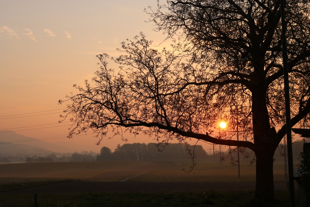 Morgen Stimmung auf dem Hof