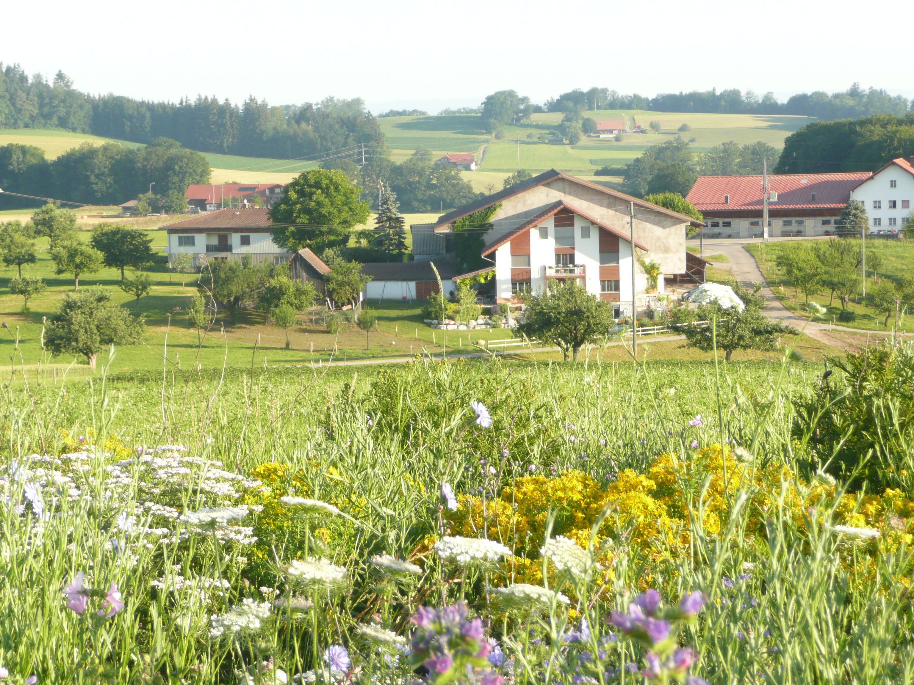 Hof der Familie Vonlanthen 