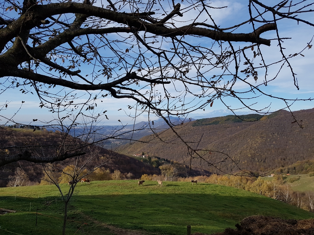 La vita all'alpe